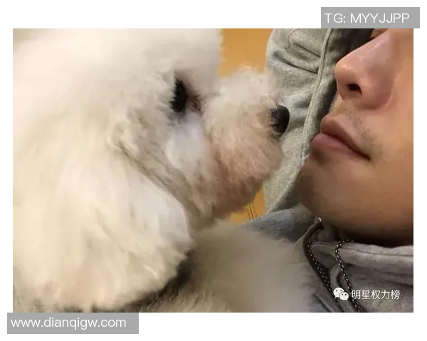 足球明星宠物大比拼谁才是养宠高手揭秘明星背后的萌宠生活